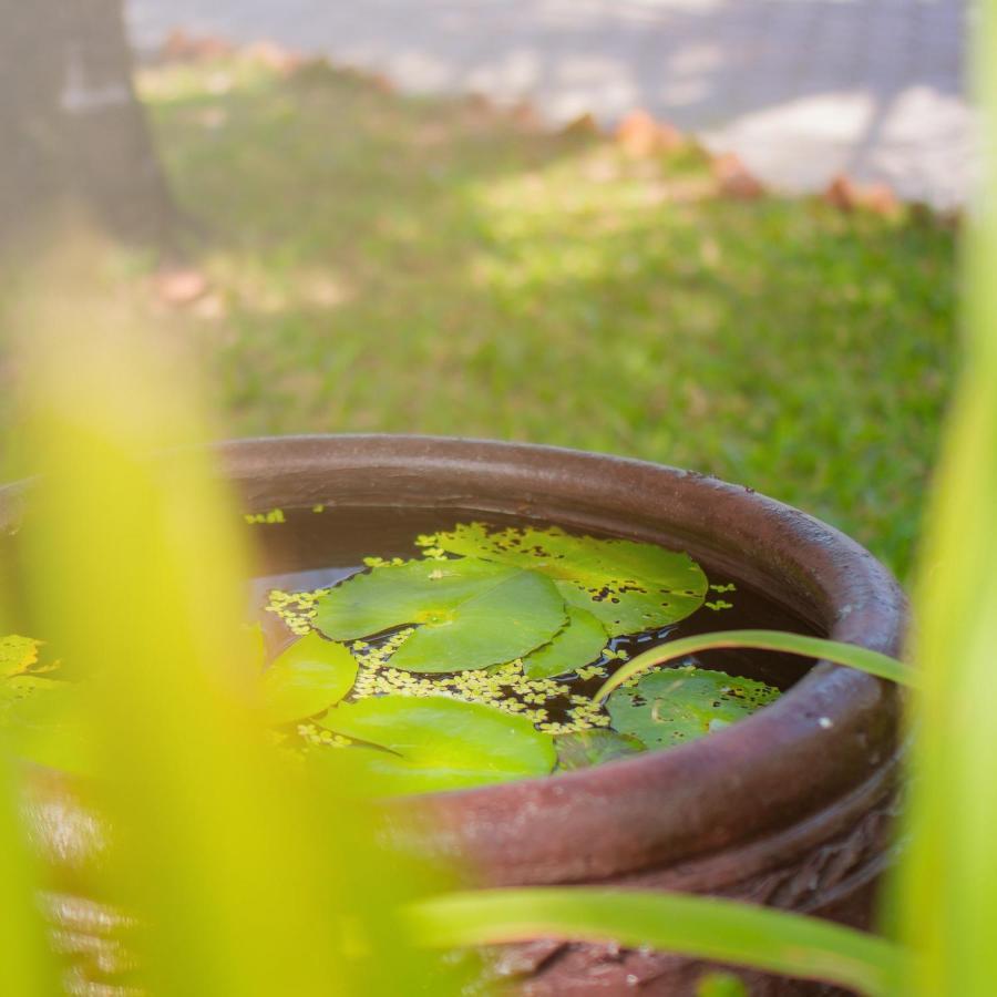槟椥河畔度假村 Ben Tre 外观 照片